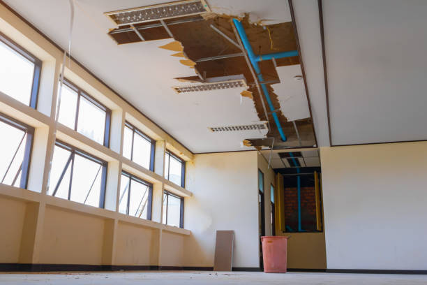 Best Flooded house restoration  in Jefferson, LA