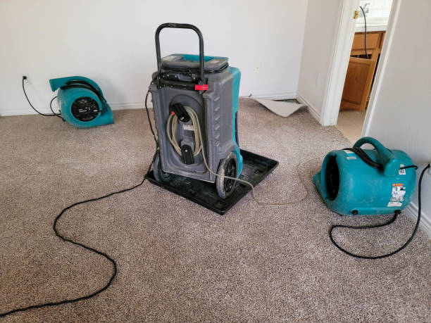 Best Local water damage restoration  in Jefferson, LA