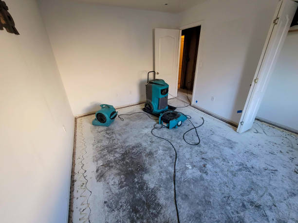 Best Flood restoration services  in Jefferson, LA