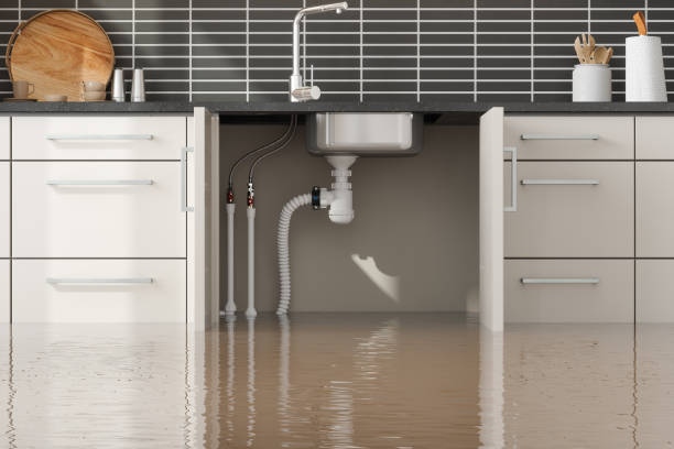 Best Fire Damage Restoration  in Jefferson, LA