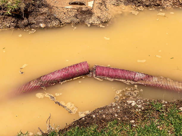Sewage cleanup and water damage restoration in LA