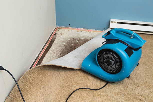 Best Residential water damage restoration  in Jefferson, LA